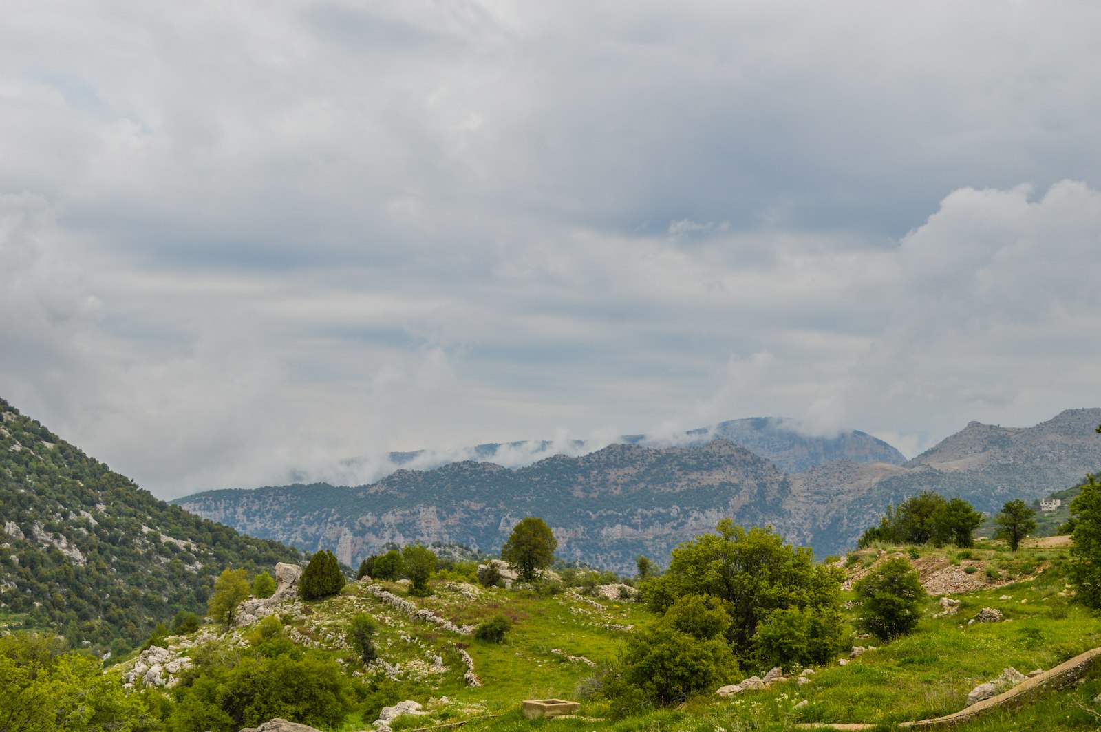 Lebanese mountains